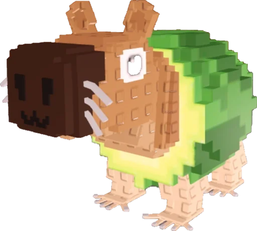 Pipi Avocado