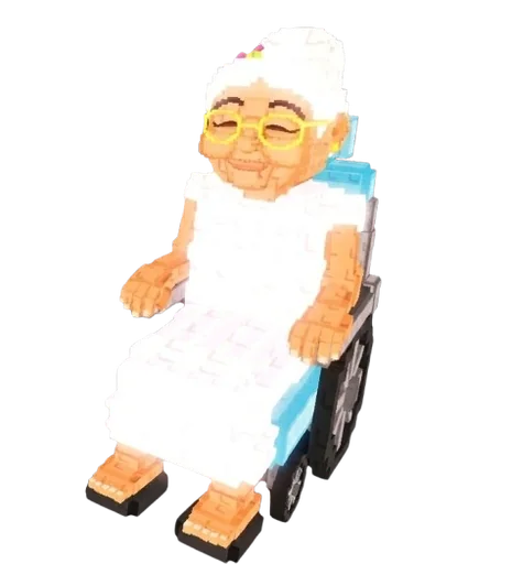 Wheelchair Granny